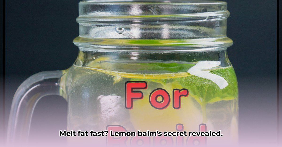 lemon-balm-drink-for-weight-loss-recipe